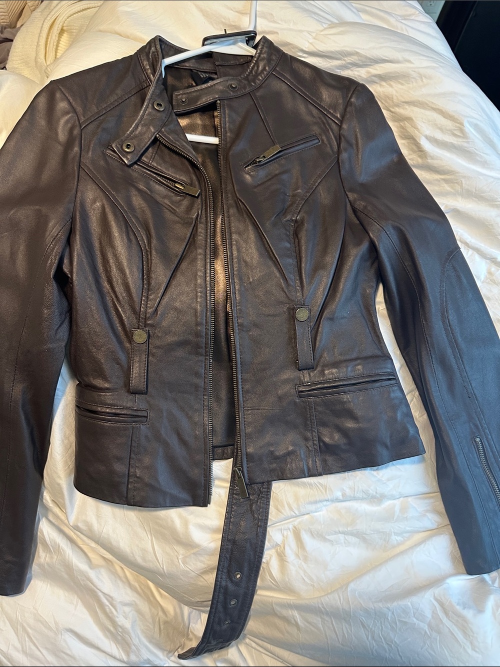 Arden B Dark Brown Leather Moto Jacket